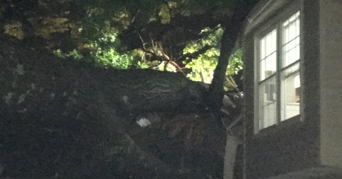 Woman killed after tree falls on house in Fairfax County | FOX 5 DC