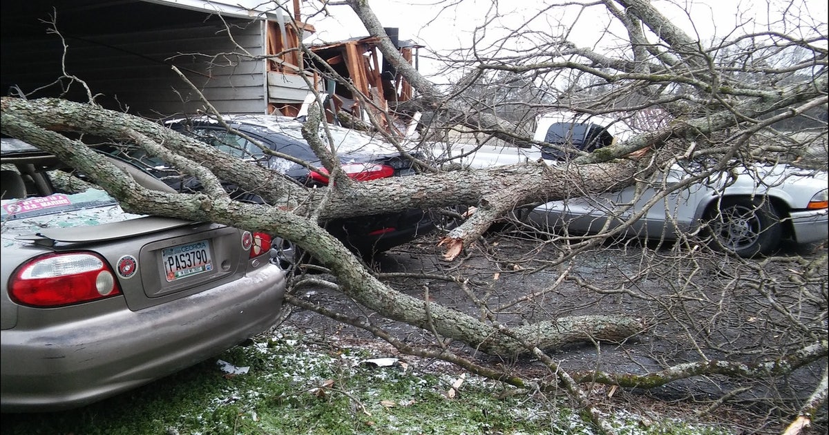 Huge tree falls on barn, four cars | FOX 5 DC