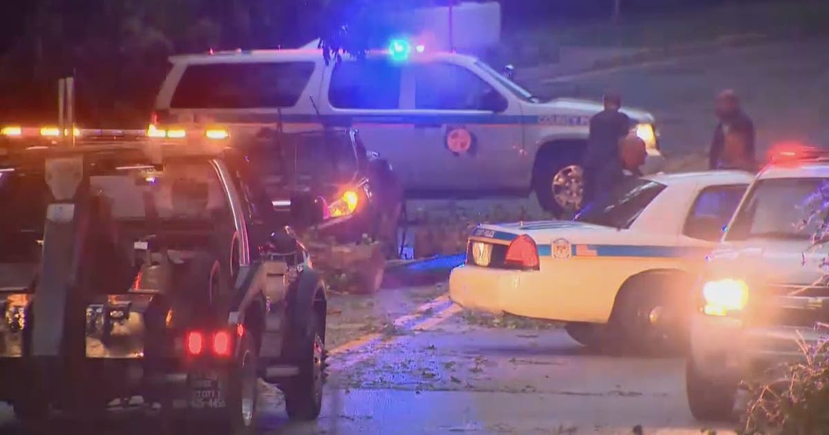 14-year-old girl killed after tree falls on car during storm | FOX 5 DC