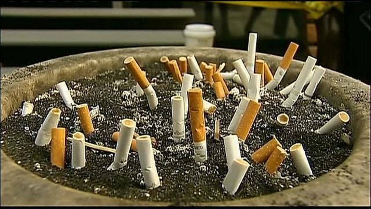 what happens if you smoke 1000 cigarettes Send this to a smoker#fyp #viral #trending #uk #smoking #smoker #cigarettes Everyone is a smoker today