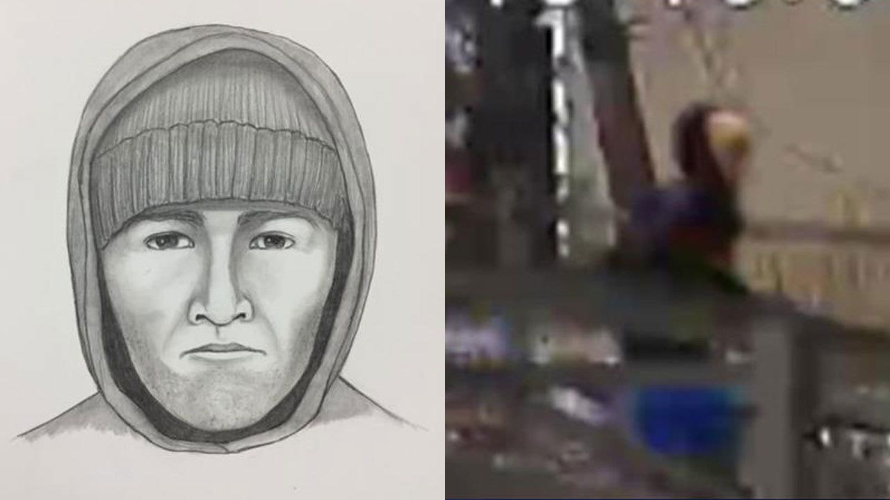 Detectives seeking to ID suspect in sexual assault of girl walking home