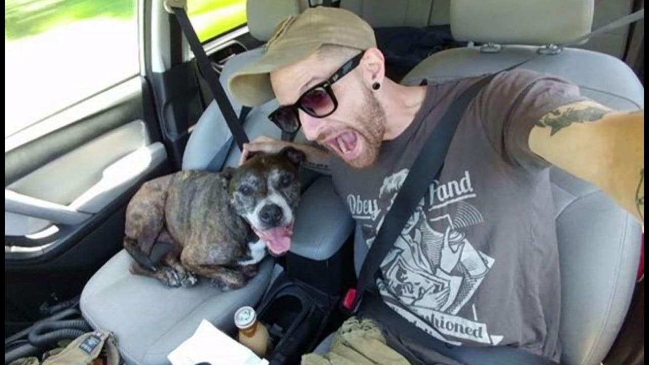 Veteran travels cross country to get service dog medical procedure