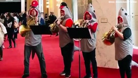 National Symphony Orchestra performs ‘Baby Shark’ at the John F. Kennedy Center for the Performing Arts