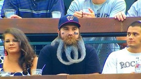 Washington Nationals super fan sports wild “W” beard in support of his hometown team