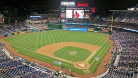 Washington Nationals hosting free World Series watch parties at Nats Park