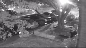 Woman attacked, robbed outside Silver Spring home, police say