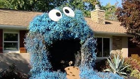 Woman's Halloween display of giant Cookie Monster amazes community