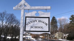 Sandy Hook father awarded $450K in defamation case against conspiracy theorist writers