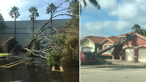 With ground still soaked, Sweetwater works toward recovery