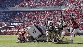 Oklahoma 'Sooner Schooner' horse-drawn wagon flips during game