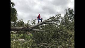 Spider-Man comes to the rescue after Hurricane Irma