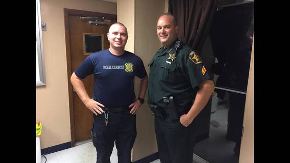 Utility pole falls on deputy and paramedic vehicle during Irma