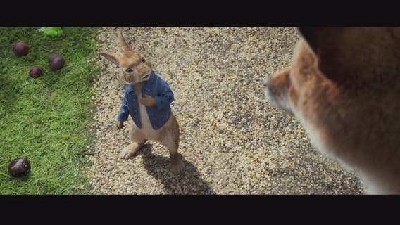 Kevin McCarthy reviews 'The 15:17 To Paris,' 'Peter Rabbit'