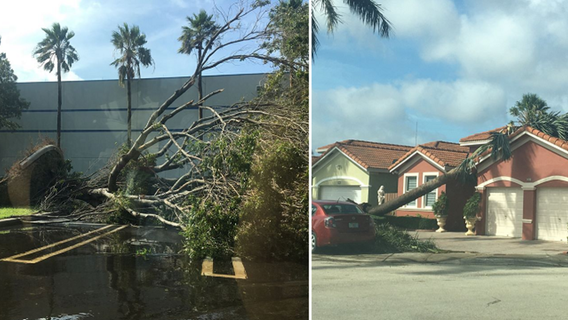 With ground still soaked, Sweetwater works toward recovery