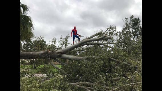 Spider-Man comes to the rescue after Hurricane Irma