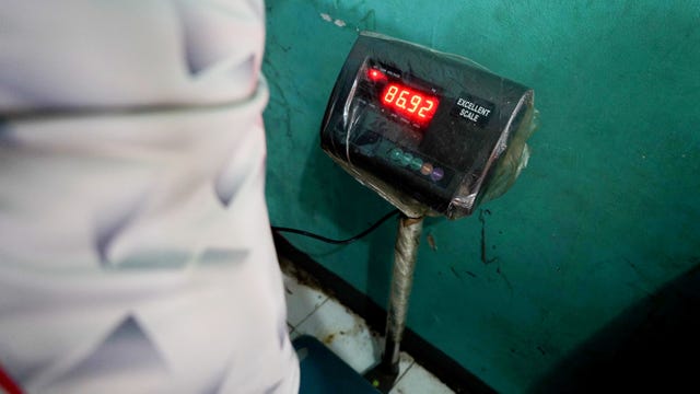 ‘A condition of the poor’: Childhood obesity rates increasing worldwide, report finds