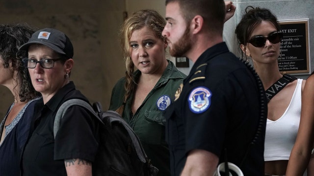 Amy Schumer arrested during anti-Kavanaugh sit-in protest