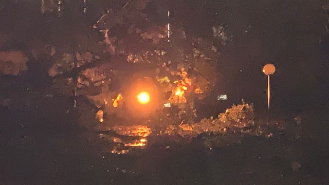 Montgomery County woman dies after tree slams car in Colesville