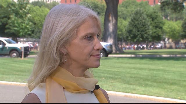 Does Kellyanne Conway think she'll be the next White House communications director?