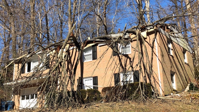 High winds wreak havoc in DC, causing downed trees and power outages