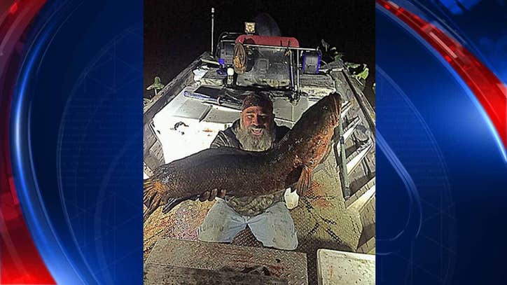 BIG CATCH: Md. man sets state record for largest snakehead ...