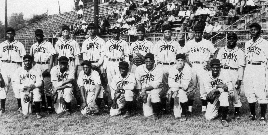 All About The Homestead Grays 
