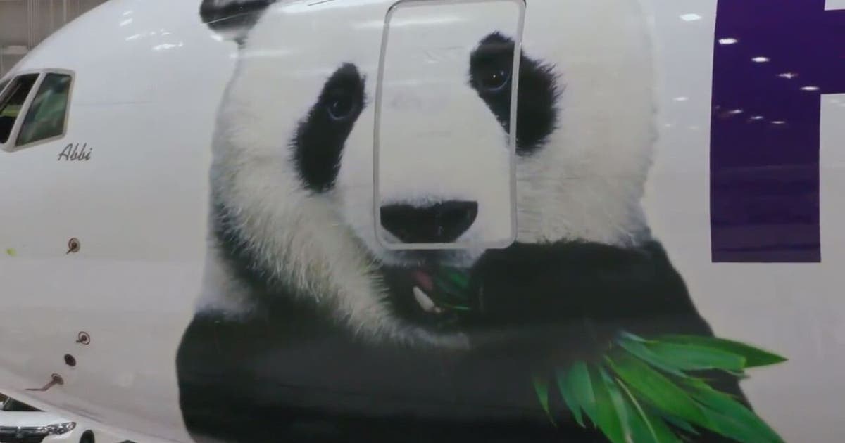 Bei-Bei.jpg?ve=1&tl=1