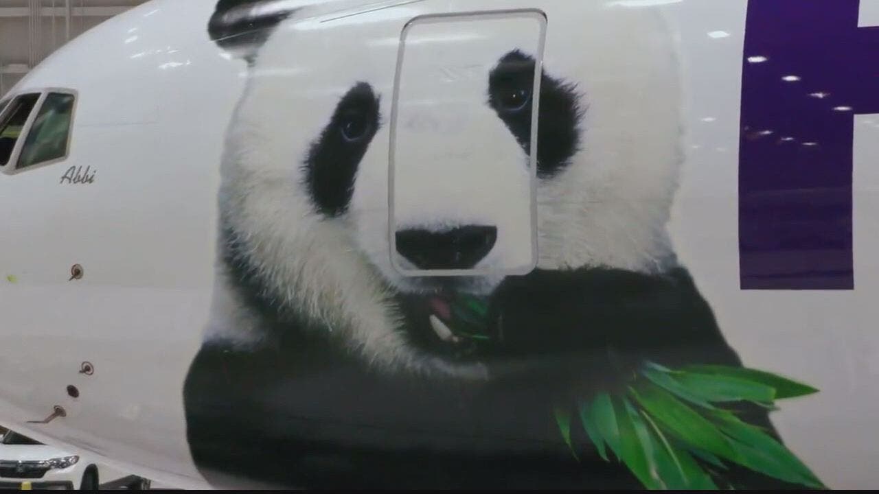 Ever wonder what goes into transporting a panda from DC to China