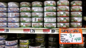 Bumble Bee tuna on the hook for bankruptcy and possible sale