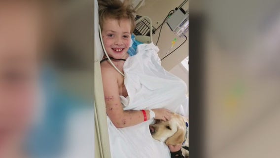 9-year old boy undergoes several surgeries, spends weeks in hospital after being attacked by family dog