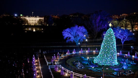 White House Christmas tree to be delivered on Monday