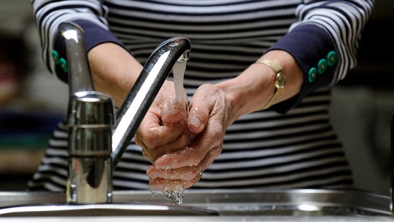 A quarter of Americans aren’t washing their hands while cooking, survey finds