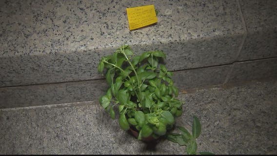 Unusual Veterans Day tribute left at the World War II Memorial