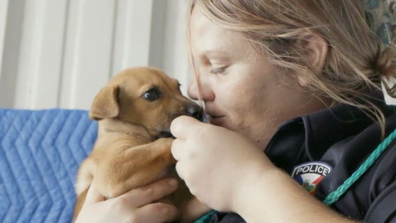 ‘Unsung hero’: Petco Foundation honors woman for bringing shelter kill rate from 100 percent down to 0