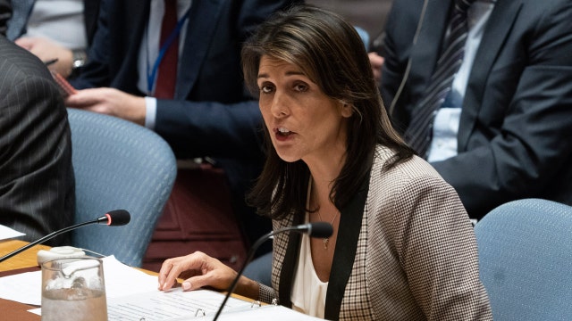 Nikki Haley reveals Tillerson, Kelly privately discussed resisting Trump: ‘It was offensive’