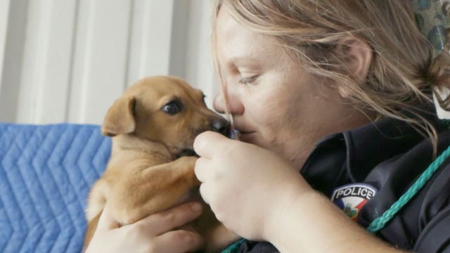 ‘Unsung hero’: Petco Foundation honors woman for bringing shelter kill rate from 100 percent down to 0