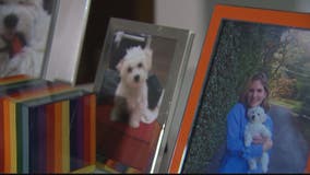 Owner speaks out about dog that died at Southern Maryland doggie day care