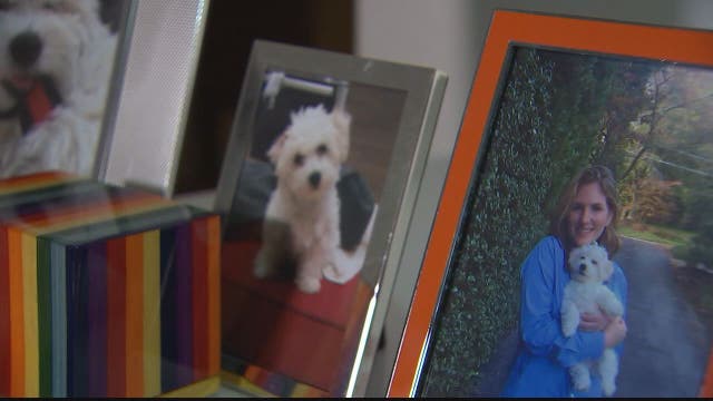 Owner speaks out about dog that died at Southern Maryland doggie day care