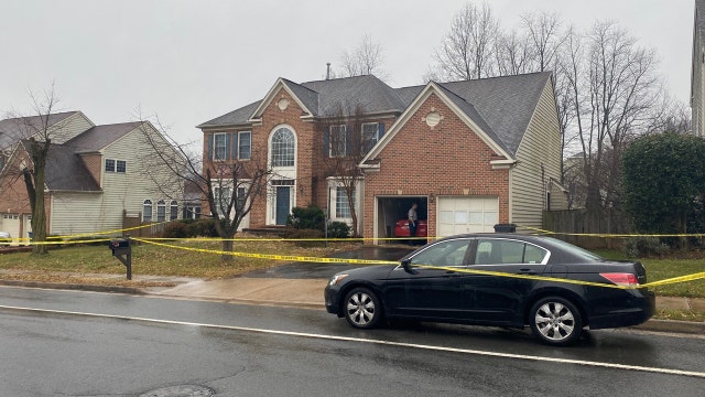 Man killed in Vienna stabbing