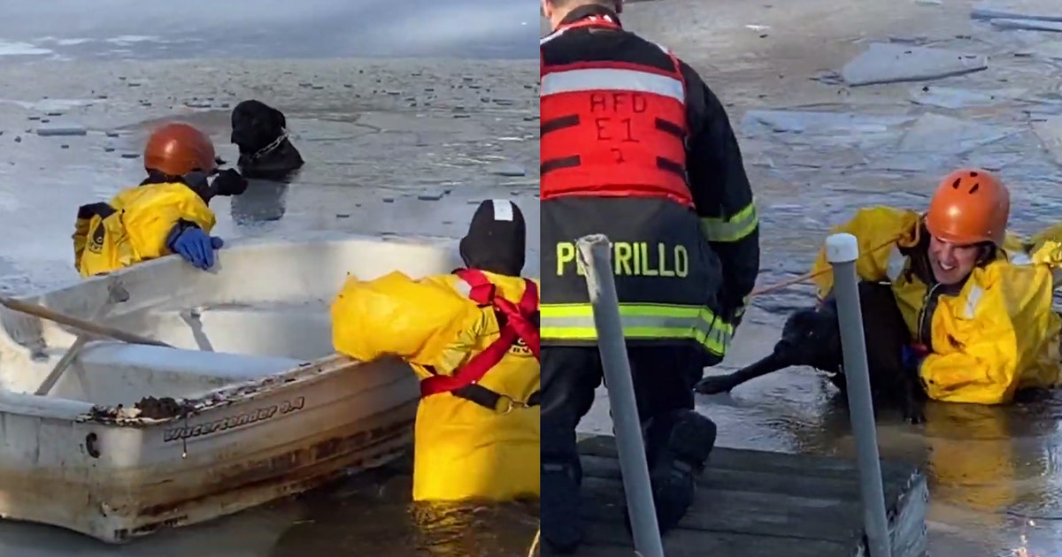 First responders rescue dog trapped in icy pond | FOX 5 DC