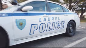 Police search for suspect they say killed seagulls in Laurel parking lot