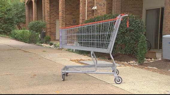 Virginia Senator proposing fines for owners of abandoned shopping carts