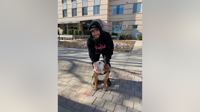 Stolen bulldog reunited with owner in Navy Yard