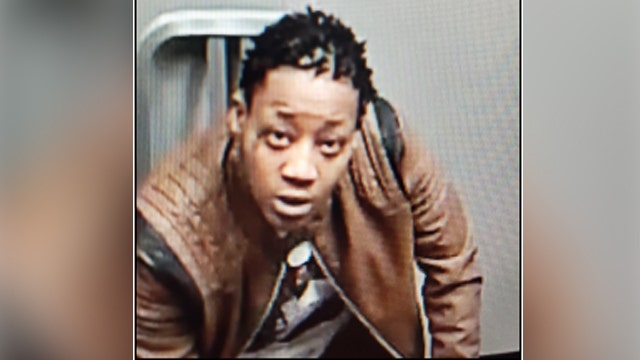 Suspect in Prince George’s County gunpoint puppy robbery arrested in DC