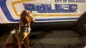 Police K-9 finds missing child in NJ