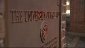 University of Maryland, College Park graduate sues university for being served food with gluten