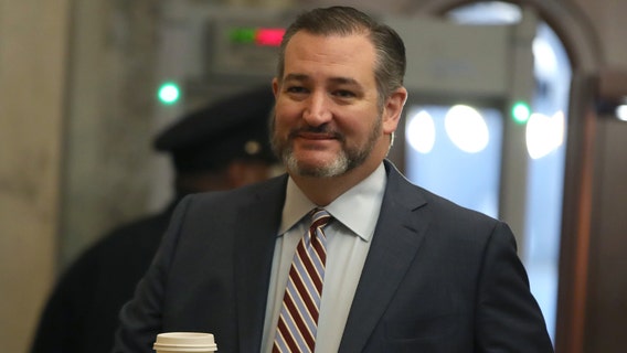 Ted Cruz appears to mock Pelosi's SOTU handclap at GOP's successful impeachment vote