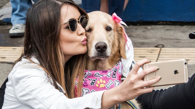 Lots of online daters have used someone else's dog in their profile picture, survey finds