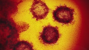 2 new coronavirus cases identified in Prince George’s County