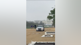 D.C. cops blast "Eye of the Tiger" to encourage (socially distant) runners on the National Mall